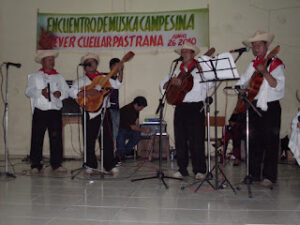 Música campesina 2010