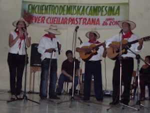 Música campesina 2010