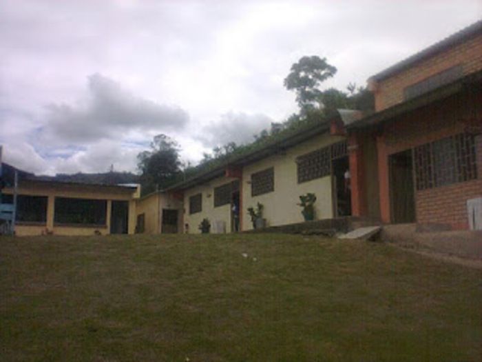 Prueba Saber 11-2019