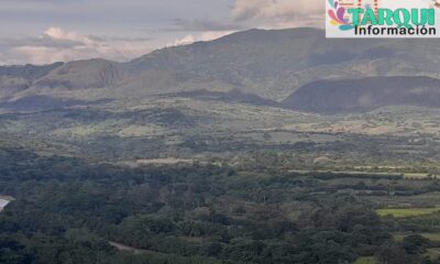 Tarqui 1808-1860