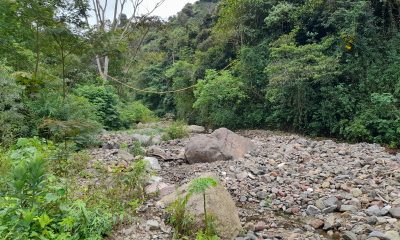 acercamiento a la paz