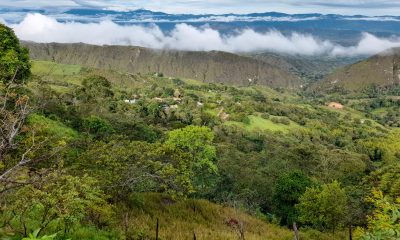 Recorrido al término desarrollo