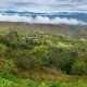 Recorrido al término desarrollo